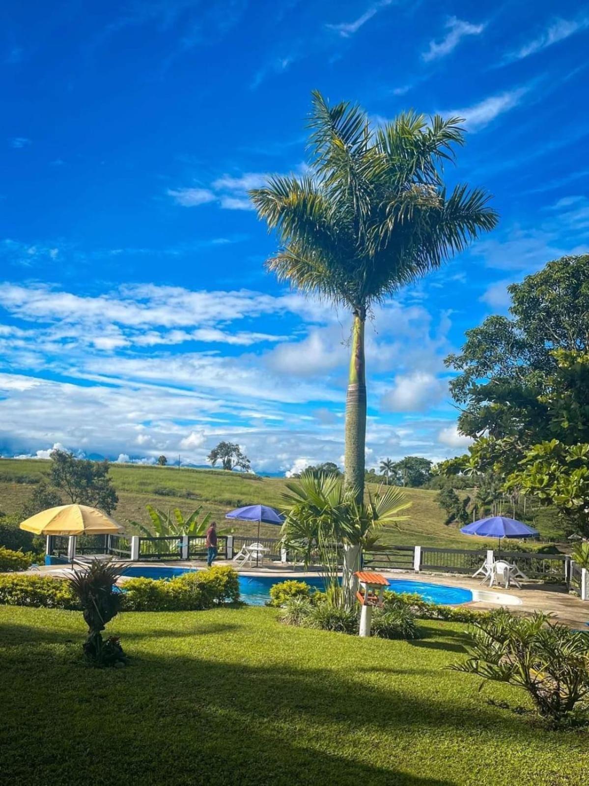 Finca Hotel Palmas Frente A Panaca Кимбайя Экстерьер фото
