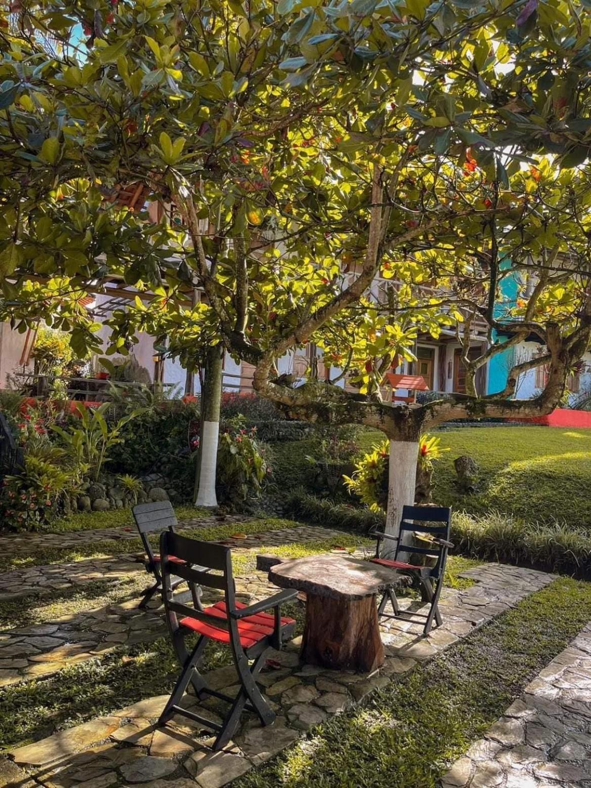Finca Hotel Palmas Frente A Panaca Кимбайя Экстерьер фото